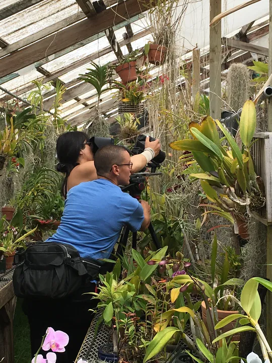 Behind the scenes from Maya, photograph 7