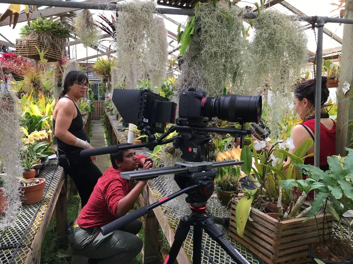 Behind the scenes from Maya, photograph 15