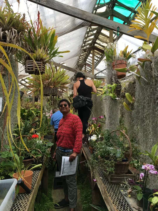 Behind the scenes from Maya, photograph 16