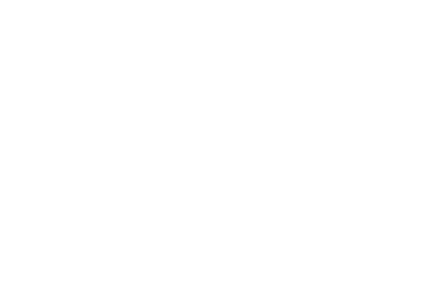 Beyond the Blue Sky 2019 laurel